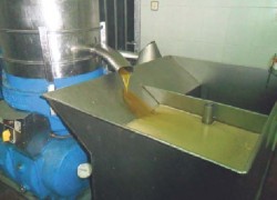 Parte del proceso de elaboración de aceite en la almazara de Cenicientos