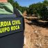 UGAMA reclama mantener el refuerzo de la vigilancia pese al descenso de los robos en el campo madrileño